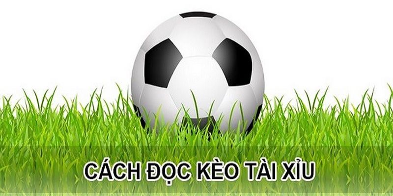 Hướng dẫn đọc kèo tài xỉu dễ hiểu cho tân thủ 