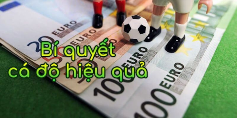 Mẹo cá cược thể thao dễ thắng cho người mới 